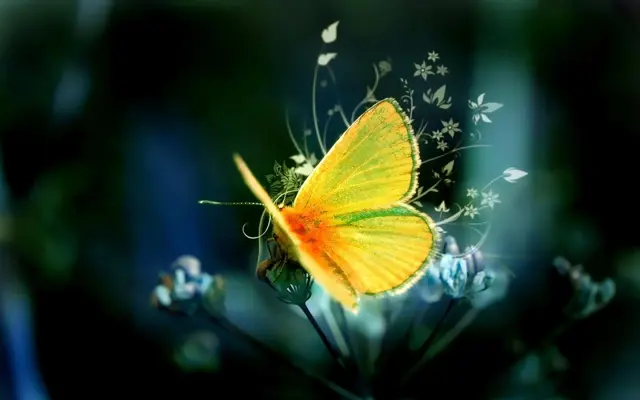 Butterflies Live Wallpaper android App screenshot 1